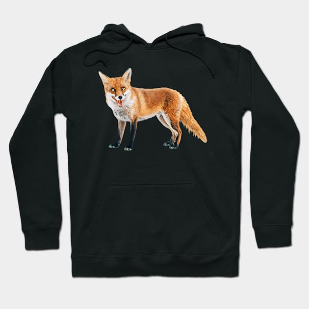 Fox - Woodland Themed Kids Room, Funny Gifts For Forester, Cute Animals Hoodie by Shirtsmania